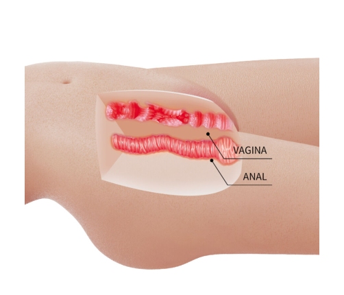 CRAZY BULL - MIA REALISTIC FEMALE TORSO VAGINA AND ANAL 8.5 KG