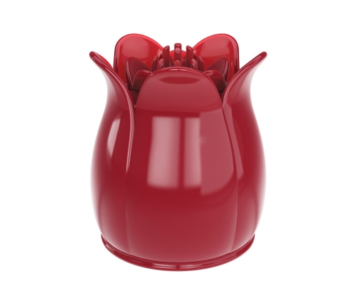 PRETTY LOVE - SECRET GARDEN PINK MASSAGE HEAD