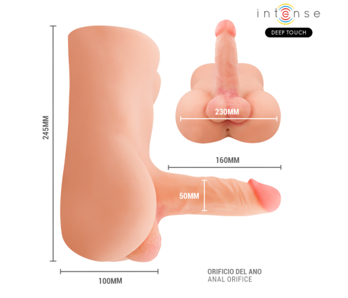 INTENSE DEEP TOUCH - DAMIEN TORSO WITH ANUS AND REALISTIC DILDO WITH PUSHING AND VIBRATION REMOTE CONTROL 3.5 KG