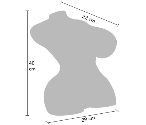 HIDDEN DESIRE - HORNY MILKING BITCH FEMALE MASTURBATOR TORSO 10 KG