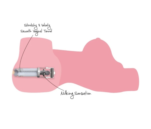 HIDDEN DESIRE - HORNY MILKING BITCH FEMALE MASTURBATOR TORSO 10 KG