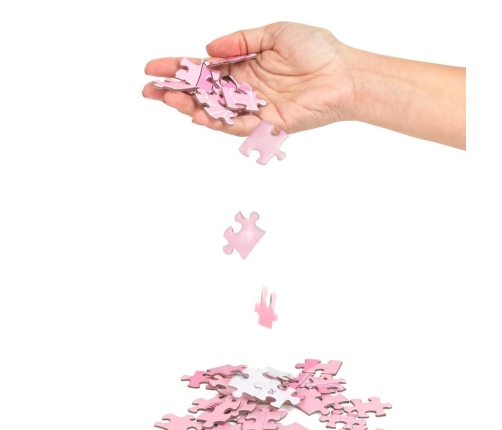 SECRET PLAY - PUZZLE GAME 