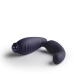 ROCKS-OFF - NOVA SOVEREIGN RECHARGEABLE PROSTATE & PERINEUM MASSAGER 16 FUNCTION BLUE
