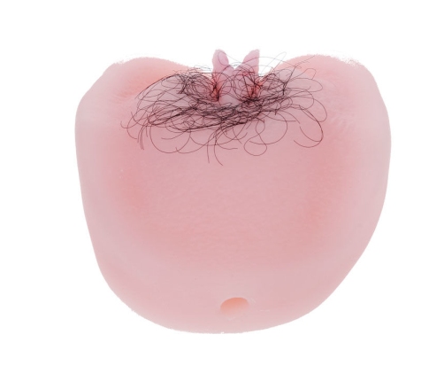 BAILE - ANTHEA MAGIC FLESH VIBRATON PUSSY