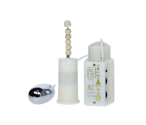 BAILE - MR BIG REALISTIC PENIS AND ANUS MASTURBATOR