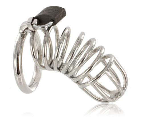 METAL HARD - CAGE RING CHASTITY DEVICE