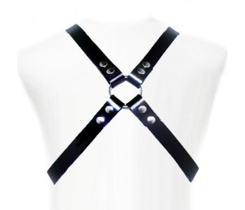 LEATHER BODY - BASIC HARNESS
