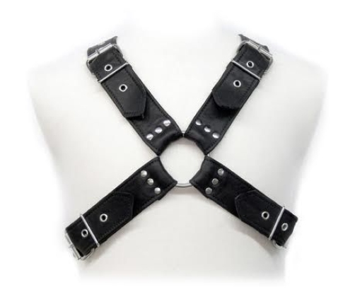 LEATHER BODY - BUCKLES HARNESS