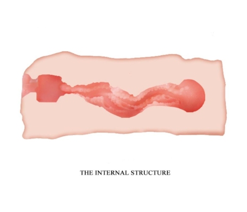 CRAZY BULL - JANE VAGINA MASTURBATOR 13.5 CM