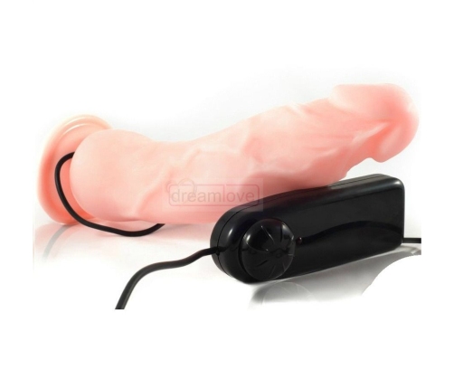 BAILE - PENE REALÍSTICO LOVE CLONE 22.3 CM