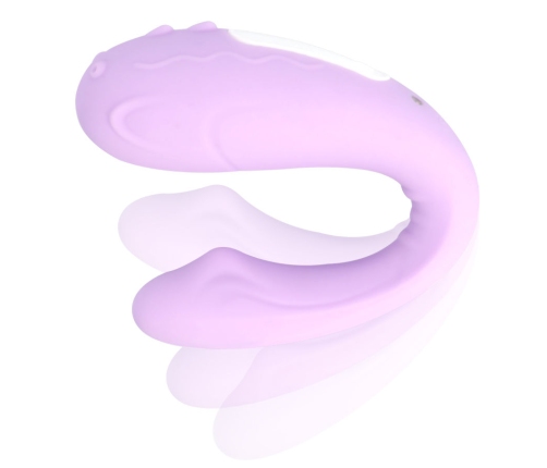 MIA - RIN REMOTE CONTROL PARTNER