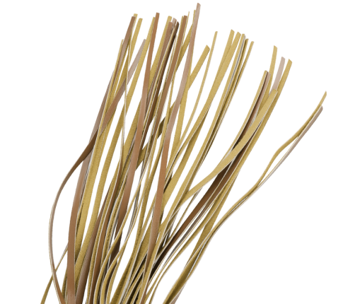 FETISH SUBMISSIVE ORIGEN - VEGAN LEATHER WHIP