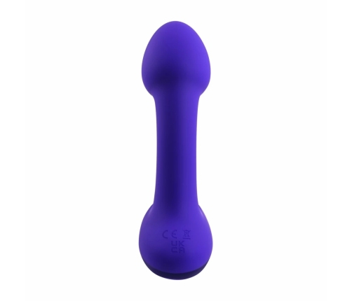 Evolved Novelties Anybody's Plug Purple - Ergonomic Wavy Design Small