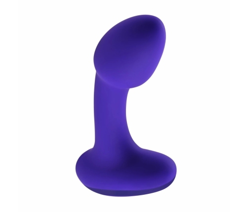 Evolved Novelties Anybody's Plug Purple - Ergonomic Wavy Design Small