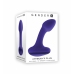 Evolved Novelties Anybody's Plug Purple - Ergonomic Wavy Design Small