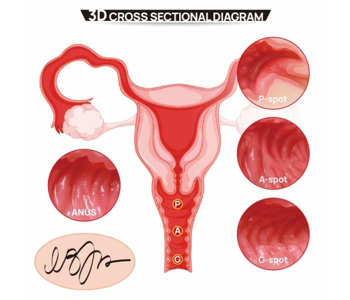 Kokos Real Hips 004 Intimate Machine Vanilla Double Layer TPE