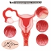 Kokos Real Hips 004 Intimate Machine Vanilla Double Layer TPE