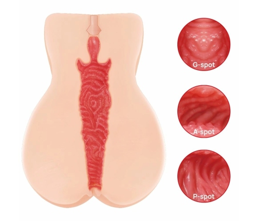Kokos Edition 004 Intimate Device Double Layer Anatomical Model