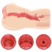 Kokos Edition 004 Intimate Device Double Layer Anatomical Model