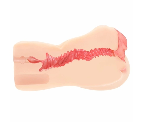 Kokos Edition 004 Intimate Device Double Layer Anatomical Model