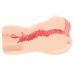Kokos Edition 004 Intimate Device Double Layer Anatomical Model