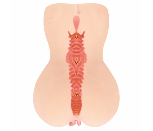 Kokos Edition 001 XL Double Layer Intimate Machine, Skin-Touch Material