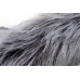 TAILZ Grey Wolf Tail Set - Silicone Intimate Plug & Faux Fur Ears, Grey