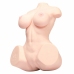 Seiraku Toys Ultimate Aska Mai Torso Peach - Dual Channel Anatomical Model 12kg