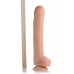 Blush Novelties The Destroyer XXL Intimate Machine with Suction Cup Black