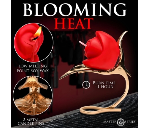 XR Brands Rose Candle with Holder Red - Decorative Soy Wax Set