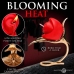 XR Brands Rose Candle with Holder Red - Decorative Soy Wax Set