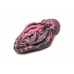 XR Brands Xeno Silicone Intimate Grinder Red & Black Textured Surface
