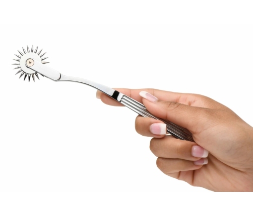 XR Brands Wartenberg Wheel Silver - Precision Sensory Tool, Stainless Steel