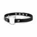 Bedroom Fantasies Kitty Choker Black Faux Leather Adjustable Collar