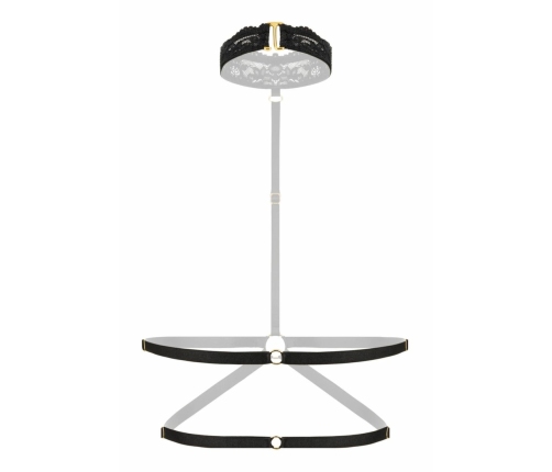 Viola Black Lace Bralette by Strappy - Harness Design with Gold-Tone Accents