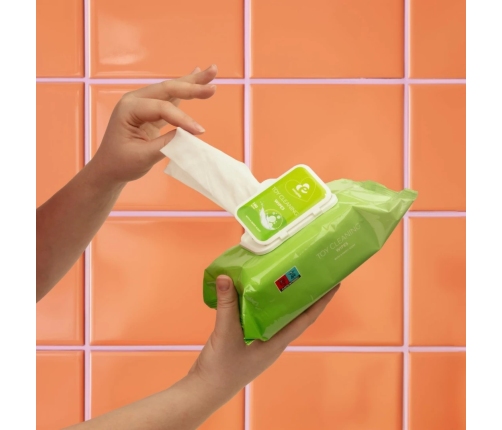 EasyGlide Cleaning Wipes for Intimate Devices 100 pcs Aloe Extract