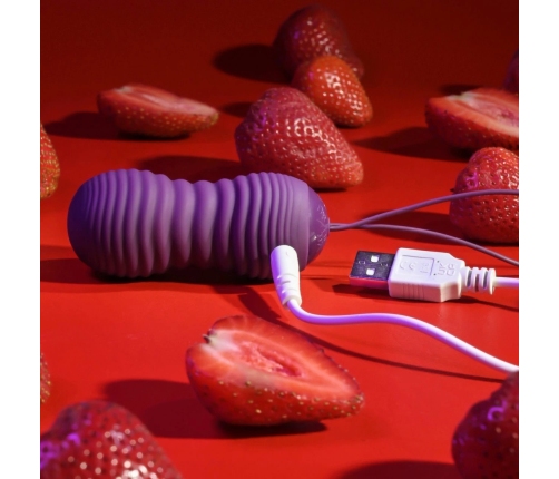 Evolved Eager Egg Remote-Controlled Vibrating Device Purple Waterproof