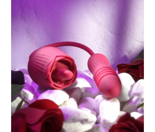 Evolved Wild Rose Intimate Tongue System Red, Dual Motor, USB Rechargeable