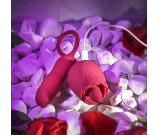Evolved Wild Rose Intimate Tongue System Red, Dual Motor, USB Rechargeable