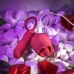 Evolved Wild Rose Intimate Tongue System Red, Dual Motor, USB Rechargeable