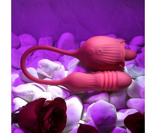 Evolved Wild Rose Intimate Tongue System Red, Dual Motor, USB Rechargeable