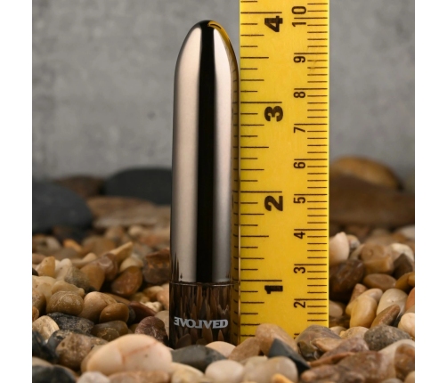 Evolved Real Simple Mini Bullet Vibrator Black Chrome USB Rechargeable