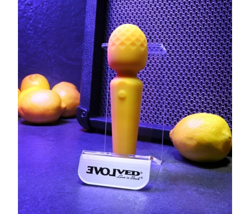 Evolved Sunshine Wand Rechargeable Silicone Vibrator Orange