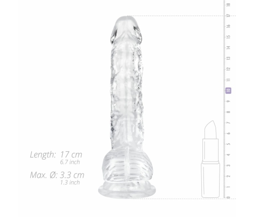 You2Toys Clear Jelly Model with Suction Base 15 cm