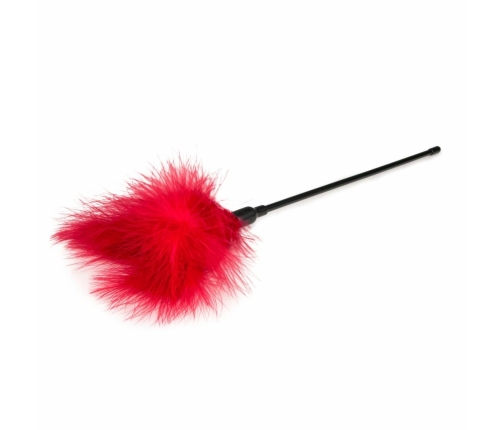 EasyToys Red Feather Tickler - Long Handle Sensual Accessory