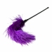 EasyToys Feather Tickler Purple - Sensual Touch Accessory, 27 cm