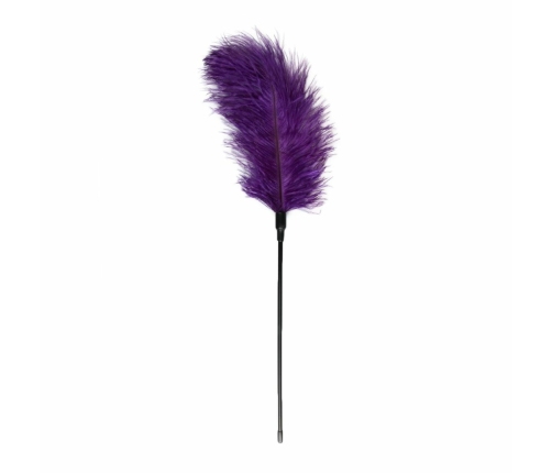EasyToys Feather Tickler Purple - Sensual Touch Accessory, 27 cm
