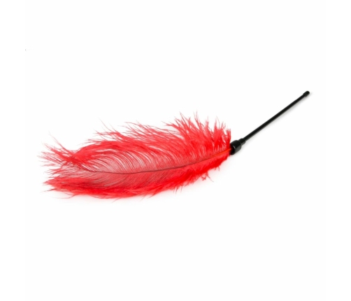 EasyToys Red Feather Sensual Tickler - Elegant Touch Accessory