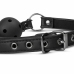 EasyToys Adjustable Open Ball System with Chain-Linked Clamps, Black