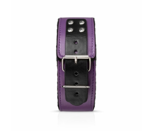 Secret Pleasure Chest Purple Apprentice Bondage Starter Set Adjustable